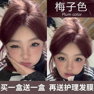 ÷��ɫȾ�l�������̿�ɫ��÷�t�t������2024������Ư�����lȾ�l��