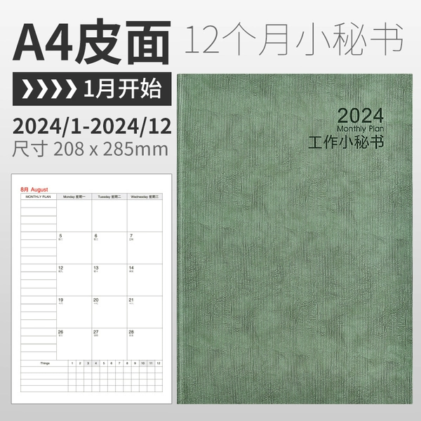 A4—Matcha Green (Leather Surface) [Full Year 2024]