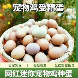 ���l�J���u�ܾ����ɷ��������u�W�t�u�R���u�N����ϵ׃�����߻�