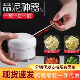 蒜泥神器家用手动拉蒜迷你压蒜器捣绞肉蒜末粉碎机蒜蓉搅碎机剥蒜