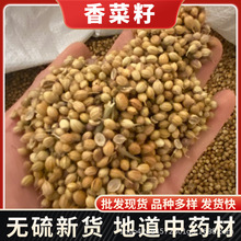 ���a����Ѯa�ؽ�ĩ���{���۲��������������u��ܾ����ܾݴ��