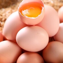 ��ζ��������40ö*40g���r�u���r��ɢ�B���u��6ö20ö
