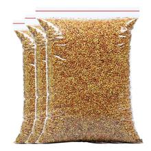 �һ���S���w��ȫ��ѿȫ�w���Ĵ����ɽ�S���w�����~ɢ�b1000g