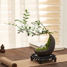 С�~���������ԑ����h֦�������辰�҃��̨����Gֲ�����ļ�����