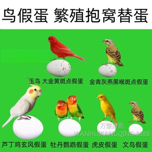 �B�ٵ���ֳ���C�浰���Bܽ���B���B�����B����������S�zȸ�W�^