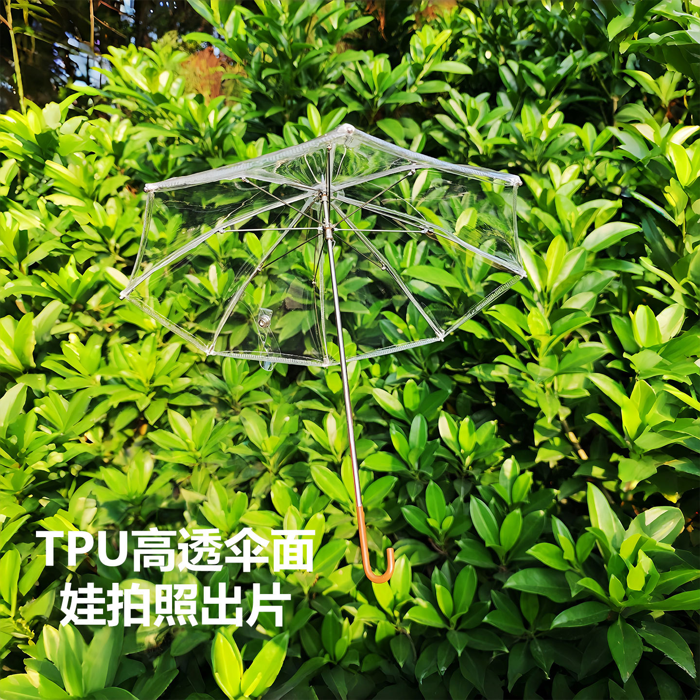 bjdɡ�������4��͸���������Сɡ΢�������ɿ�����ż���յ���