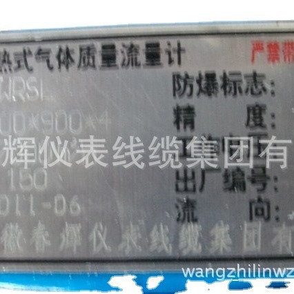 防爆型热气式气体质量流量计HWRSL天然气气体流量计