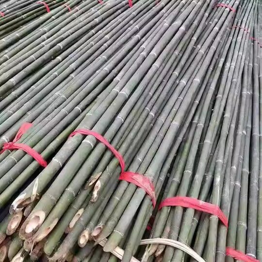 Bamboo Pole Vegetable Garden Rack Garden Vegetable Rack Bamboo Pole Fence Outdoor Moso Bamboo Fence Anti-corrosion Durable Color Flag Pole Bamboo Stick