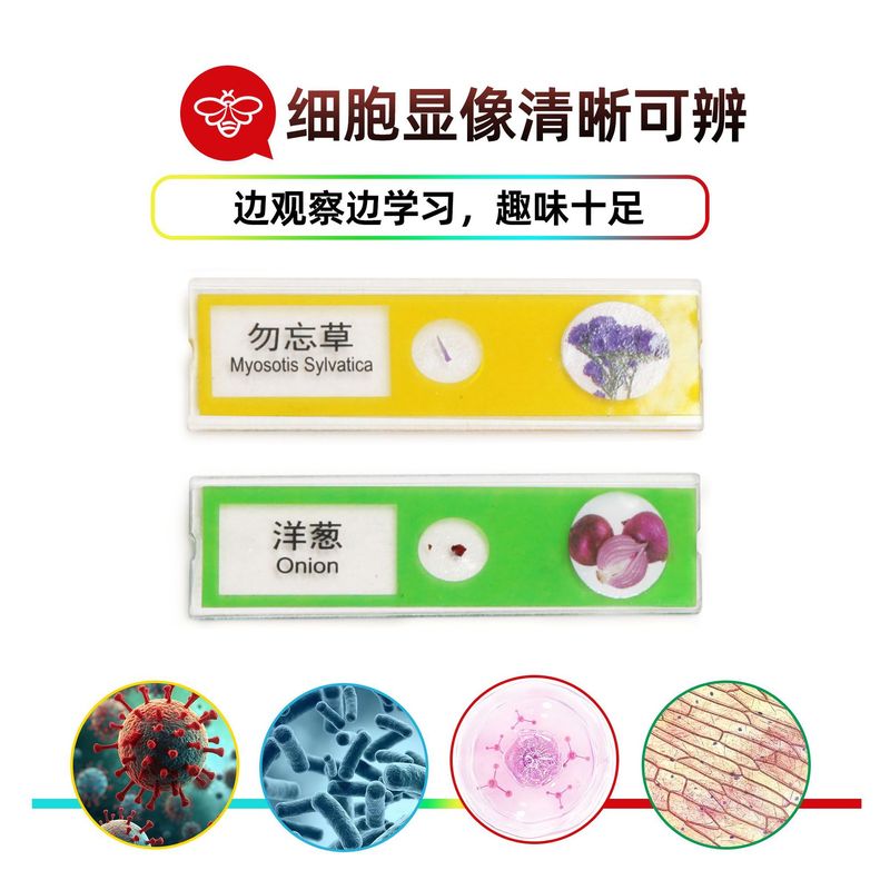 ドロップシッピング子供の顕微鏡標本動物と植物昆虫バイオプラスチックスライス科学実験おもちゃアクセサリー|undefined