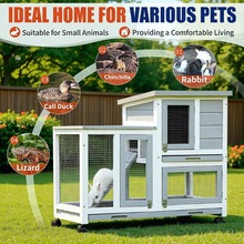 �羳���ڌ�ľľ���҃ȑ����û\�����ݎ��бP���Ƅ��p�Ӵ���g�û\