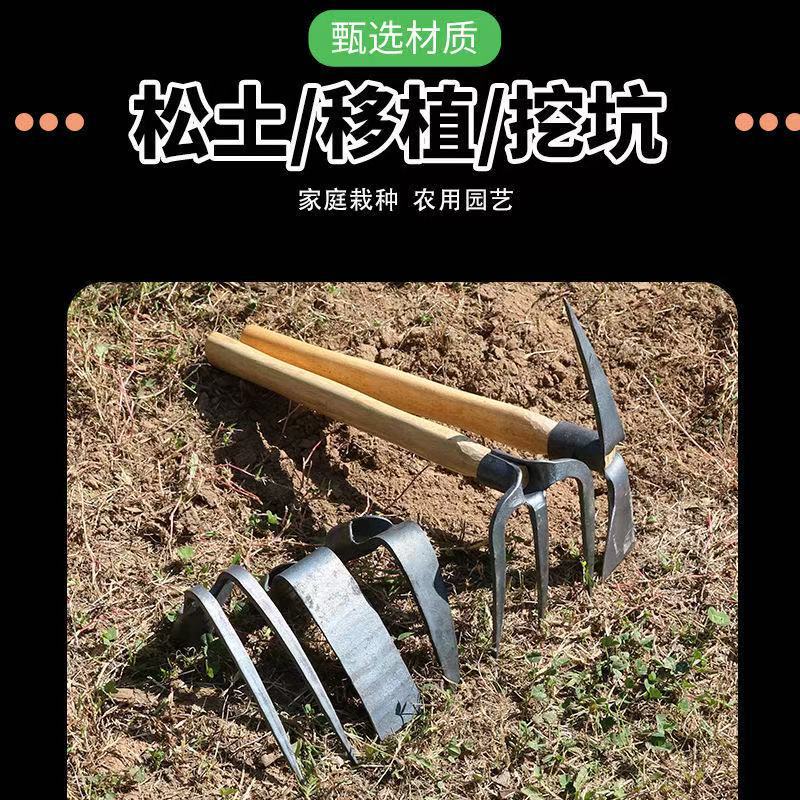 微信图片_202505050858551.jpg