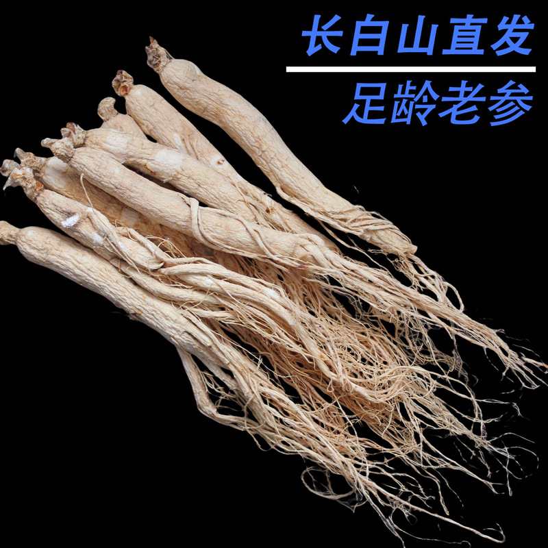 足龄老人参干货长白山250克人叁泡酒泡水中药材东北特产生晒白参|undefined