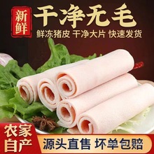 ���r�o�;����iƤ���i��Ƥ�oë��KƤ���iƤ�K�������i�Ű��b����