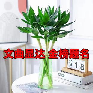 �Ĳ��񎧸��^���ɻ����F��ˮ���B�辰ֲ���҃��^��4֧�x������