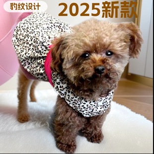 2026�¿�·���������Y�·� �������y�B��ȹ�F؛���l�ɐ�