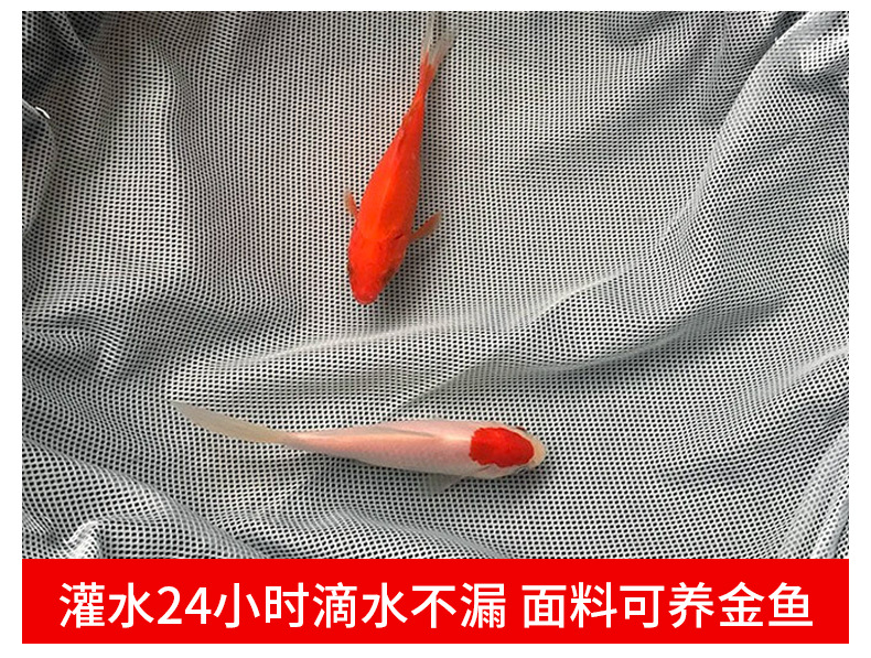 模板_05.jpg