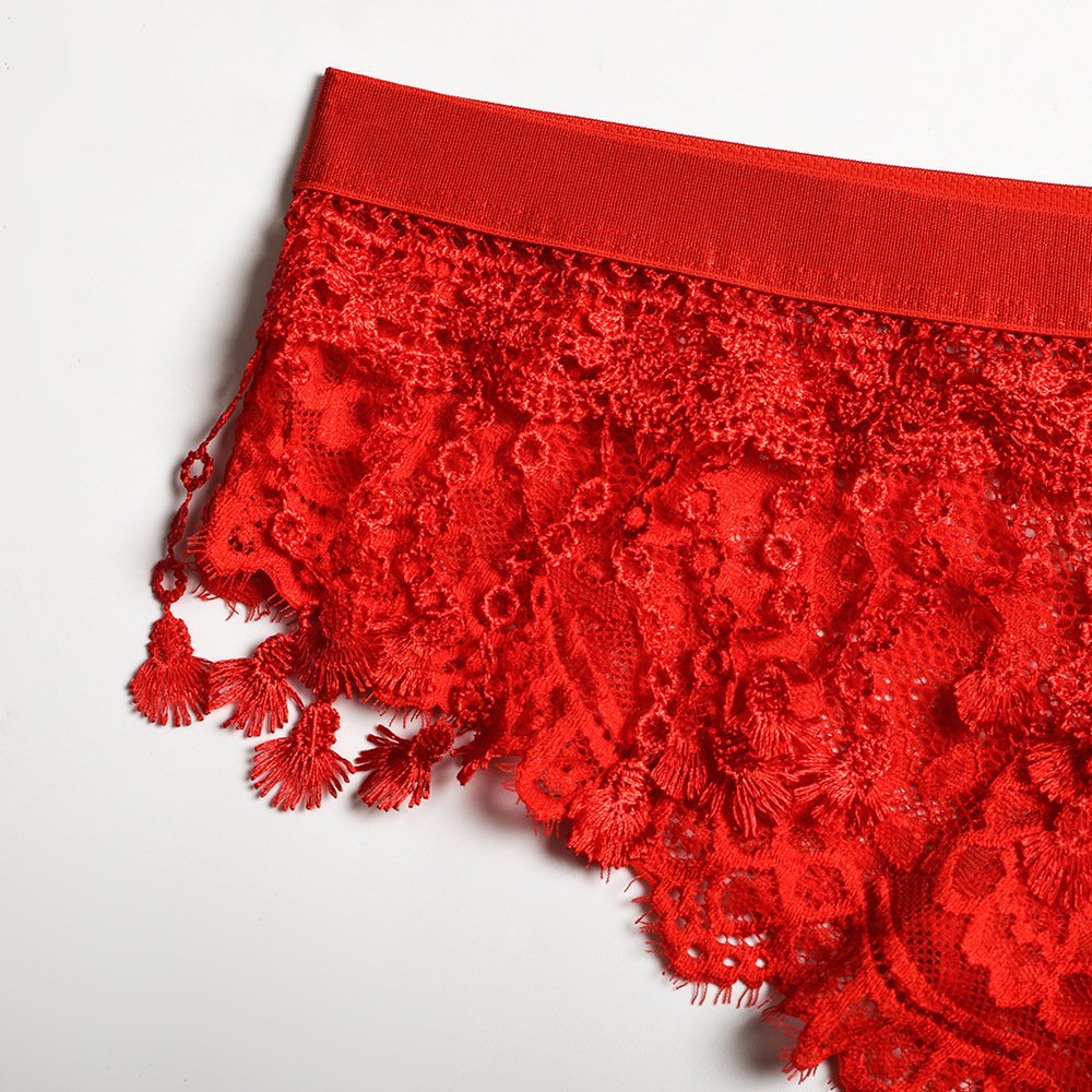 Lace Loveliness: Three-Piece Red Lingerie Ensemble