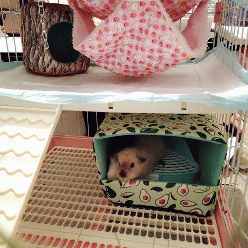 Rabbit shelter hedgehog guinea pig bottomless nest can be placed in the toilet nest hamster nest small pet hiding house