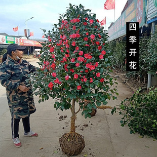 ������ɫ�൤���Ԏ������^�p����ֲ���҃�ͥԺ���Ǵ�t�軨����