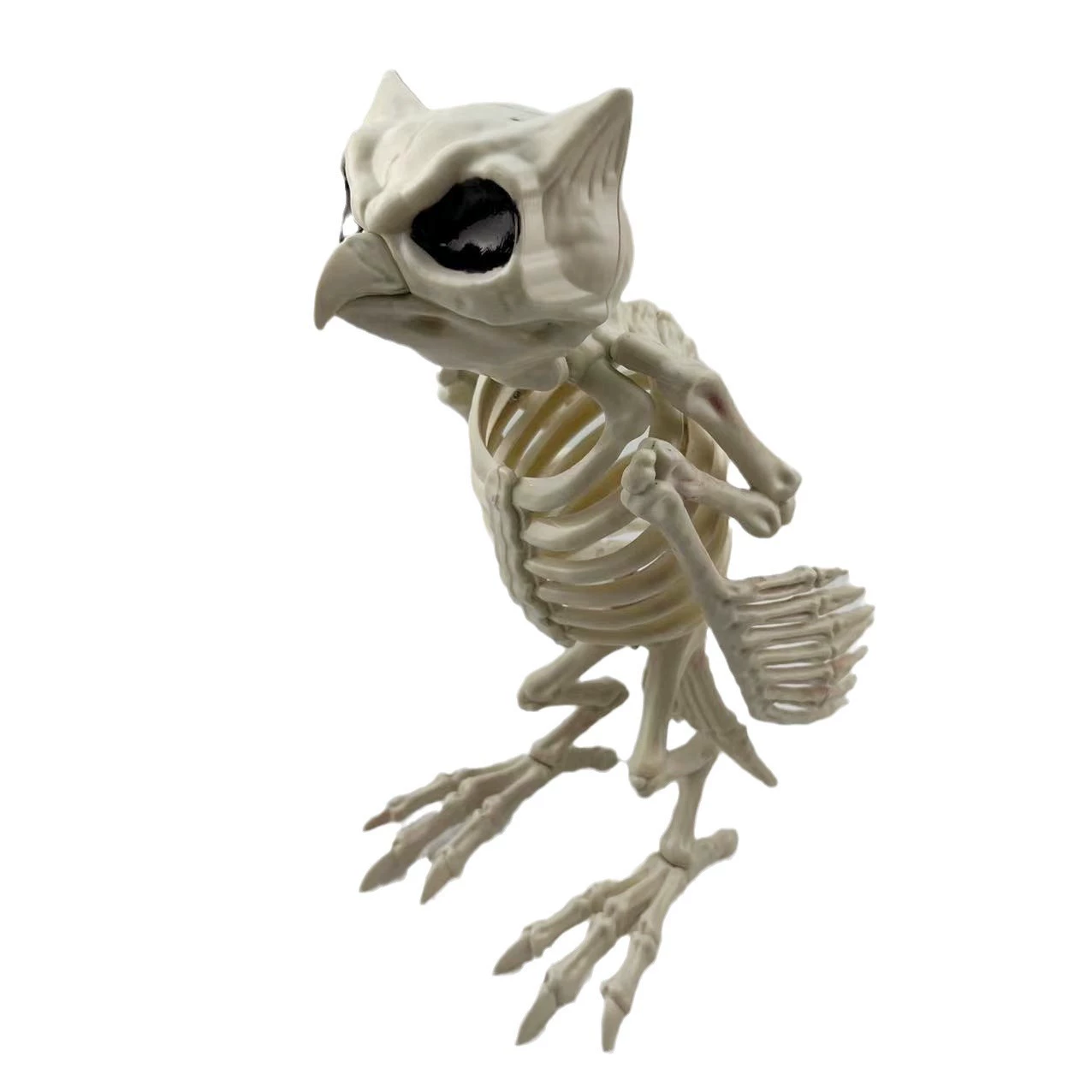 Realistic skeleton, halloween, owl