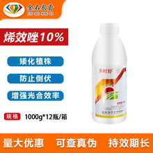 ���r��10%ϩЧ�� ����픶˃��ݰ���ֲ����������������L�{����