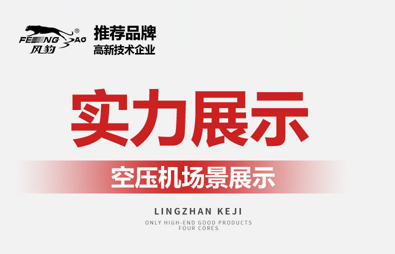Fengbao Explosion-Proof Air Compressor 380V Industrial Grade Large Belt Driven Oil Air Compressor for Chemical Plants and Dust Oil Stations