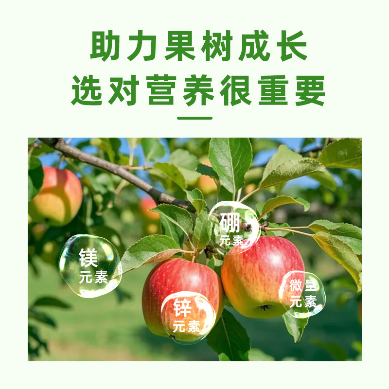 安定果膨れ果霊座花果専用増香増甘は、ひび割れ防止のために膨れ上がった艾果実は靭性水溶肥料を増加します。|undefined