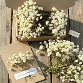 鲜花花艺制品;永生花;干花