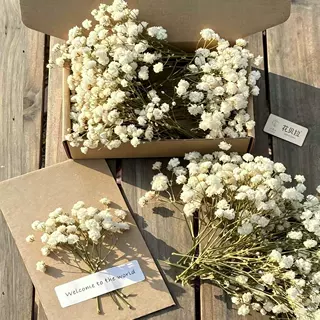 跨境满天星永生花干花装饰品 干花diy材料包满天星梦幻高级感真花