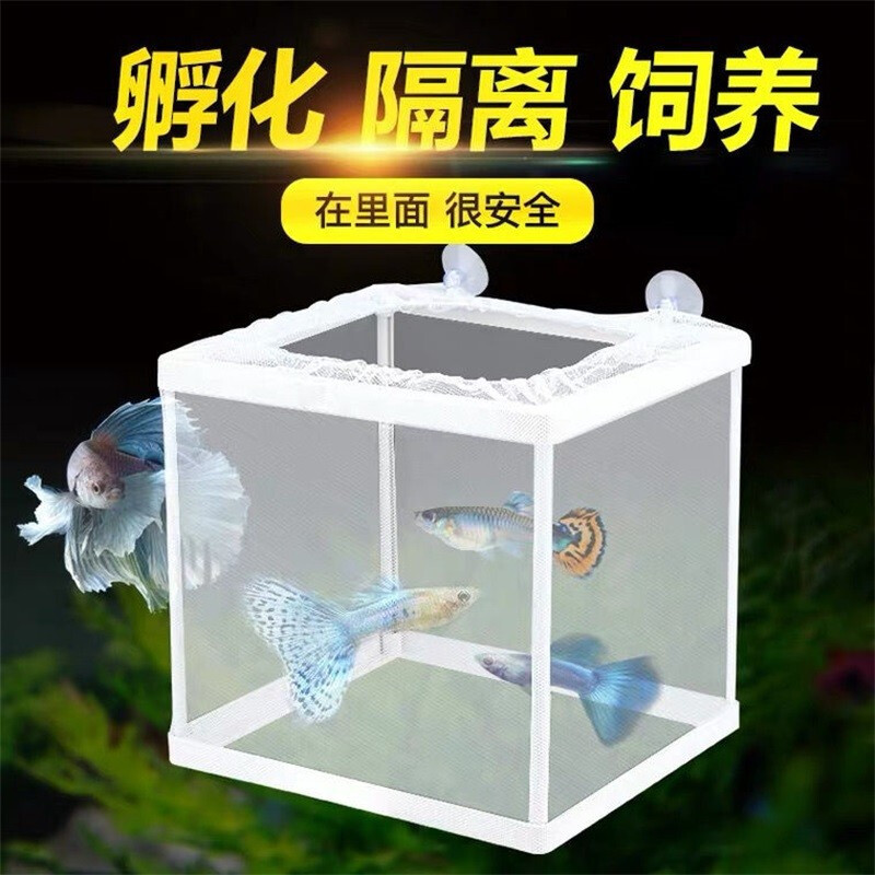 Juvenile fish cage isolation aquarium equipment transparent breeding box bucket fish partition isolation box fish breeding isolation box