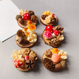 �������w�ɻ�ֲ����������ɹ���Ӕ[�������N�Ҿ��b�DIY�����N