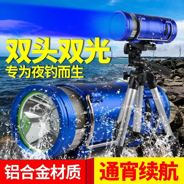 Double Light source fishing lamp blue light night fishing lamp strong light charging zoom long shot LED table fishing fishing fishing lamp