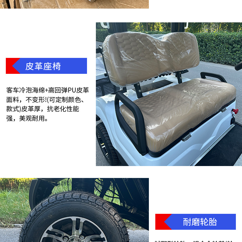 Multifunctional Electric Golf Cart Sand Bucket Ball Washer Insulated Box Rain Curtain Golf Cart for Golf Course