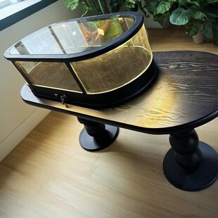 ��ľ���ΈA�Ѝu���E�A�錚չʾ���й����Ʒ��Й�չ��