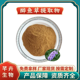 醉鱼草提取物 水溶 闭鱼花/樚木提取物 厂家1KG起现货包邮