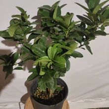 ��ˮ���ʘ����ԏV�|�ļ�������ˮ���ʘ���Ϙ��҃ȾGֲ�����̨