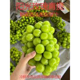 阳光玫瑰葡萄新鲜水果5斤晴王葡萄无籽香印提子青提当季整箱顺丰