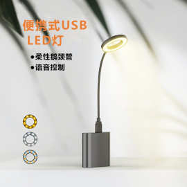 爆款usb语音灯 抖音同款创意迷你便携式桌面床头智能声控小夜灯