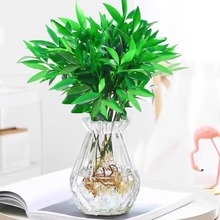 ˮֲk҃Gֲ͏dûܺBļ