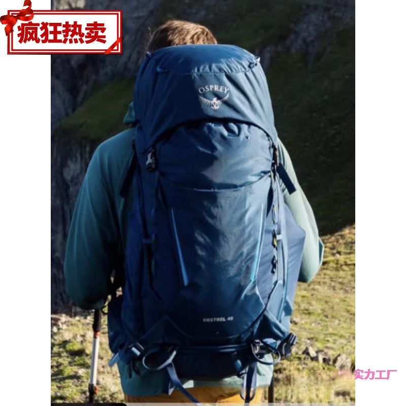 小鹰背包38485868户外登山背包徒步防沷水大容量重装双肩批发包邮|undefined