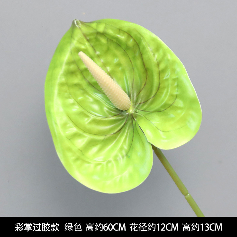 Color palm green