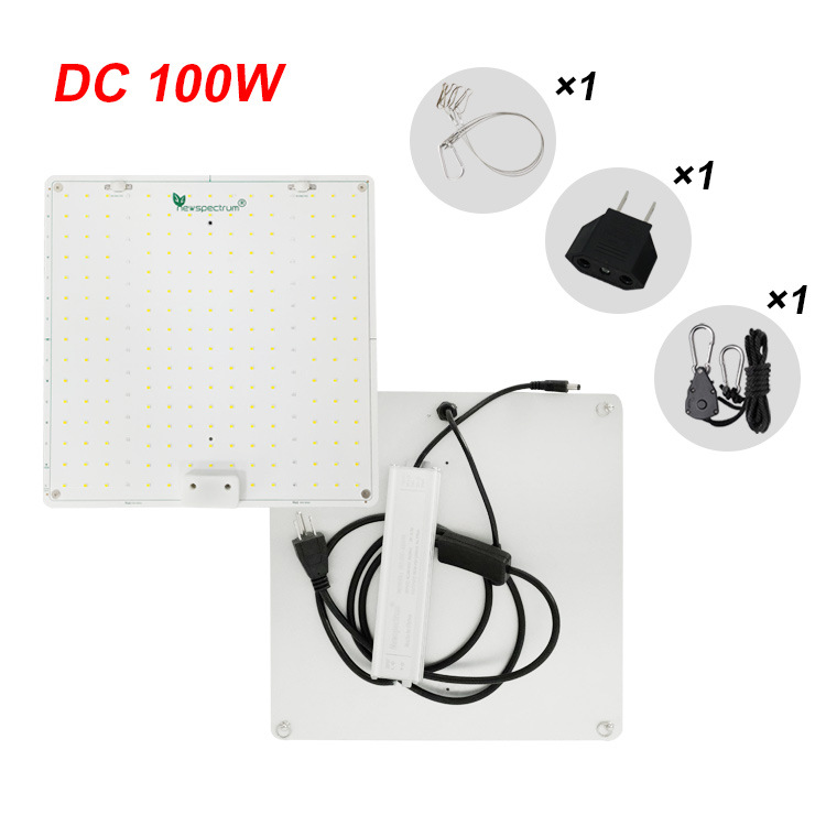 DC 100~265V/100W