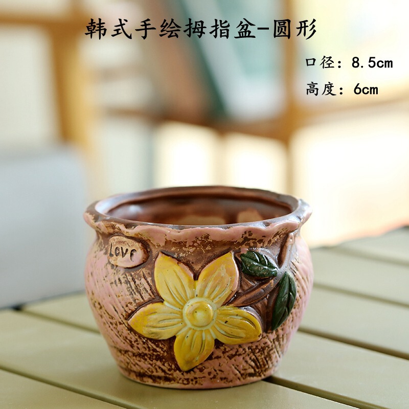 Korean Hand-Painted Succulent Pot Art New Hand-Painted Succulent Flower Pot Medium Creative Green Plant Flower Pot Stoneware Breathable Wholesale