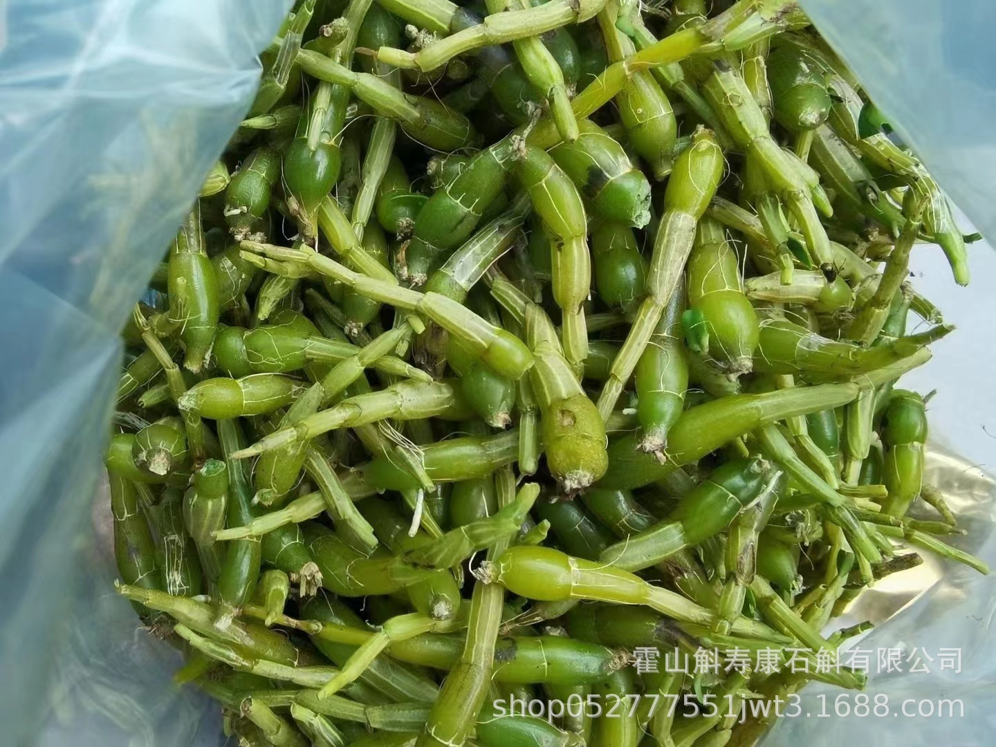 Huoshan Dendrobium Fresh Stems Mi Hu 霍山米斛 Ready-to-Eat 500g quality and texture