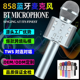 WS858�{�������LԒͲ���һ�w����ͯ�o������OK�ֳ�K�茚��KTV