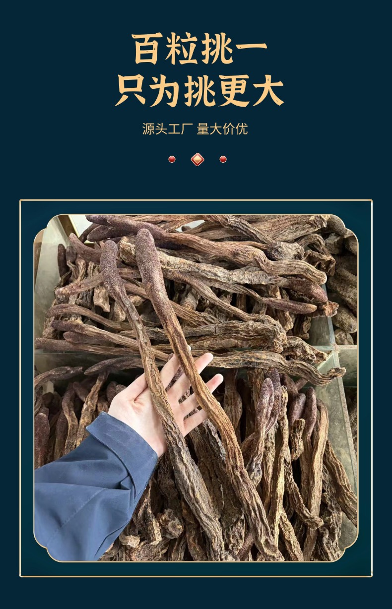 Dried Cynomorium Songaricum Suoyang Herb for Traditional Soup and Decoction quality and texture