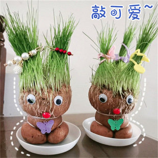 һ�����l�ɐ�����Сֲ�������׃��@�YƷˮ���^��ֲ���҃�Ȥζ�Nֲ