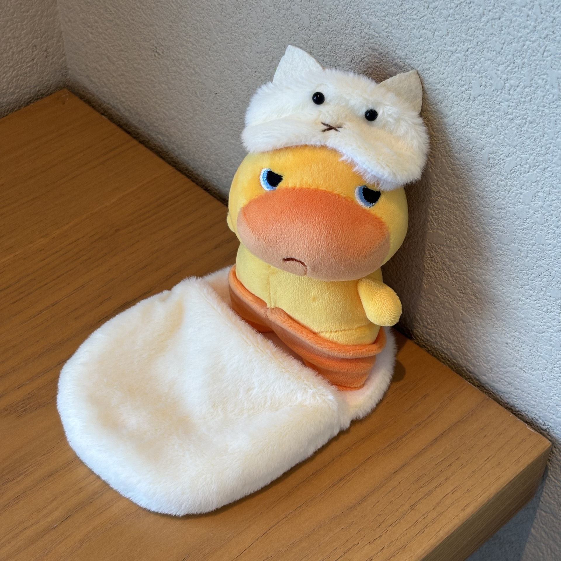 Yellow sleeping bag + eye mask + disdainful purr