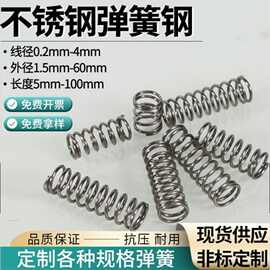 厂家加工304不锈钢弹簧压簧扭簧拉簧回位压缩减震不锈钢弹簧