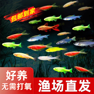 �Ꭷ�^�p�~�~�~�ɹ���Ƽt�G��С�ͻ��~��ˮ�~��ˮ���B�Sһ�����l